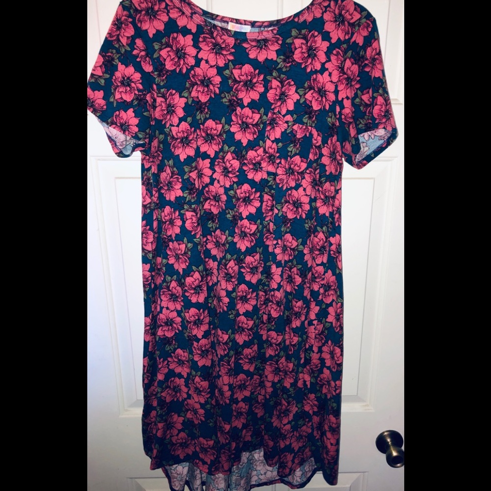 Carly Swing Dress